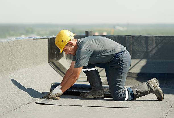 Best Specialized Insulation Services in Naples, FL