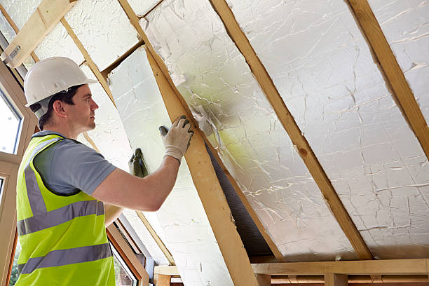 Best Eco-Friendly Insulation in Naples, FL