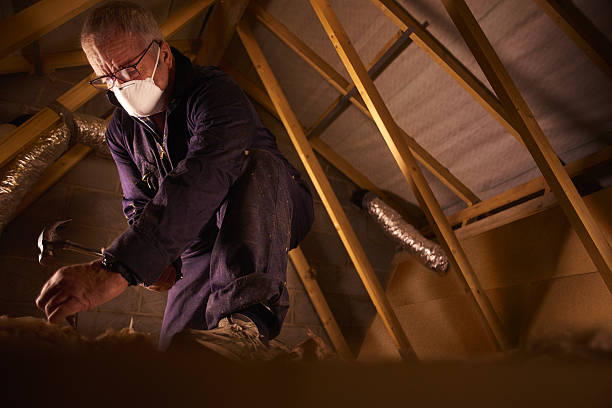 Trusted Naples, FL Insulation Contractor Experts