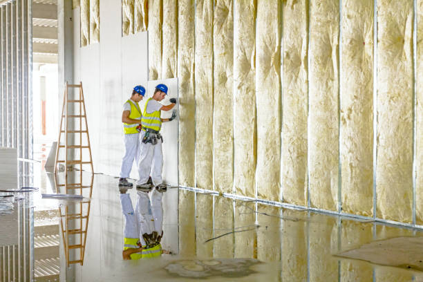 Best Blown-in Insulation in Naples, FL